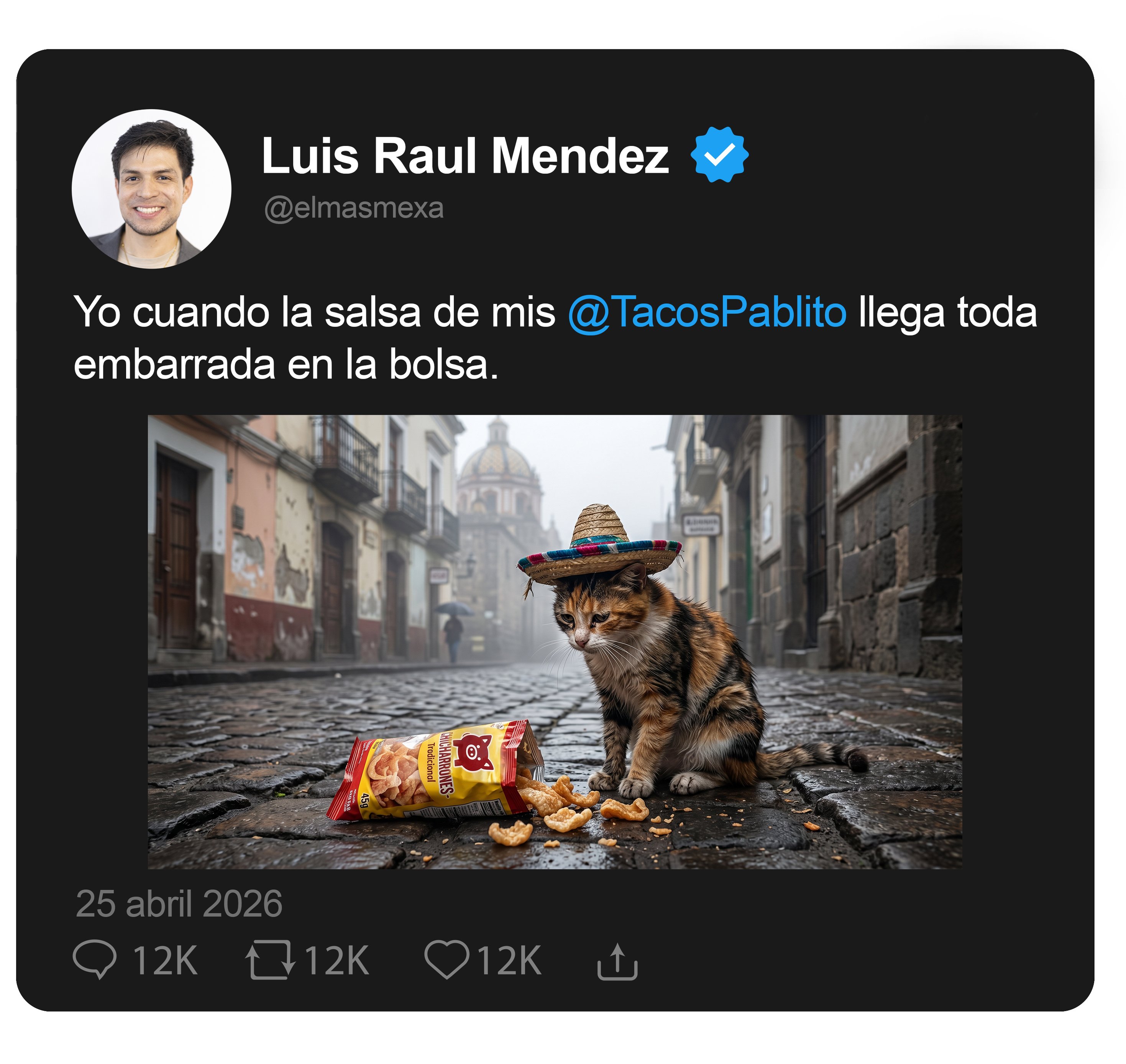 Comentario twitter sobre salsa con imagen de gatito con sombrero